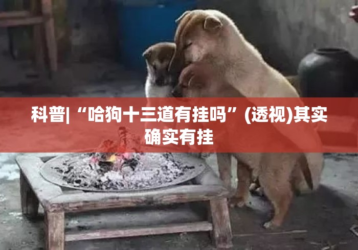 科普|“哈狗十三道有挂吗”(透视)其实确实有挂