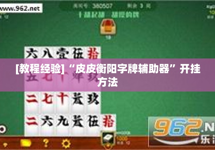 [教程经验]“皮皮衡阳字牌辅助器”开挂方法