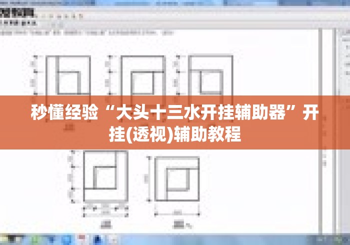 秒懂经验“大头十三水开挂辅助器”开挂(透视)辅助教程