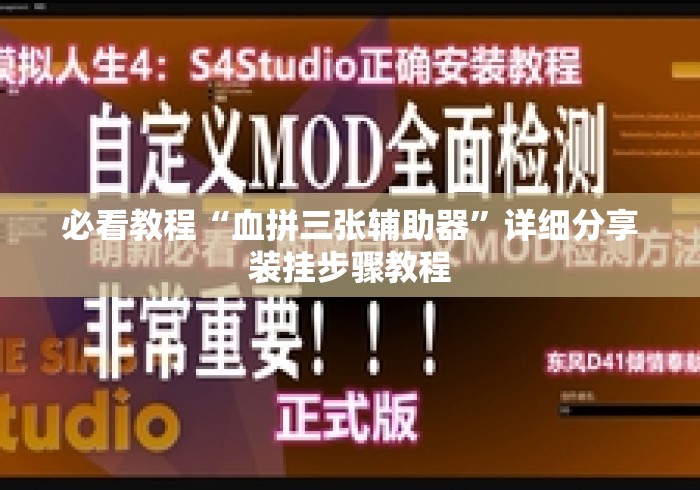 必看教程“血拼三张辅助器	”详细分享装挂步骤教程