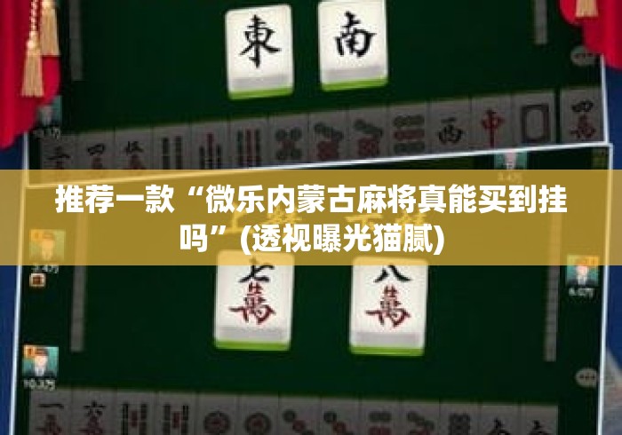 推荐一款“微乐内蒙古麻将真能买到挂吗	”(透视曝光猫腻)