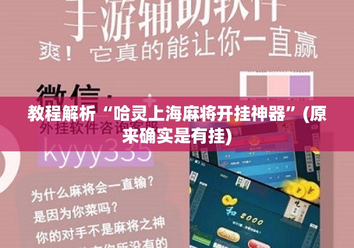 教程解析“哈灵上海麻将开挂神器”(原来确实是有挂)