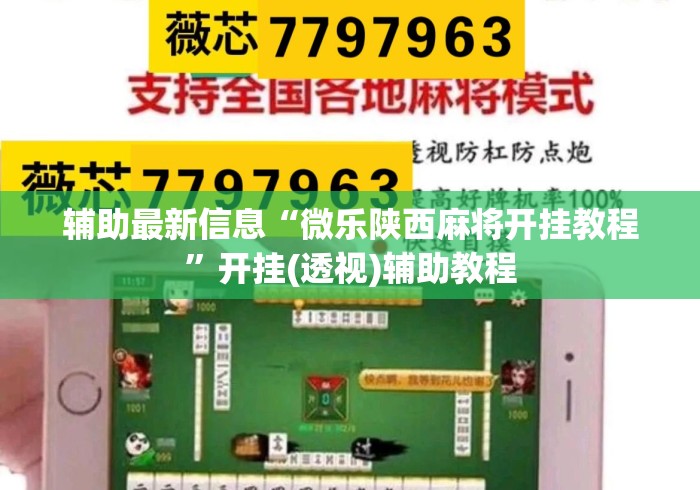 辅助最新信息“微乐陕西麻将开挂教程”开挂(透视)辅助教程