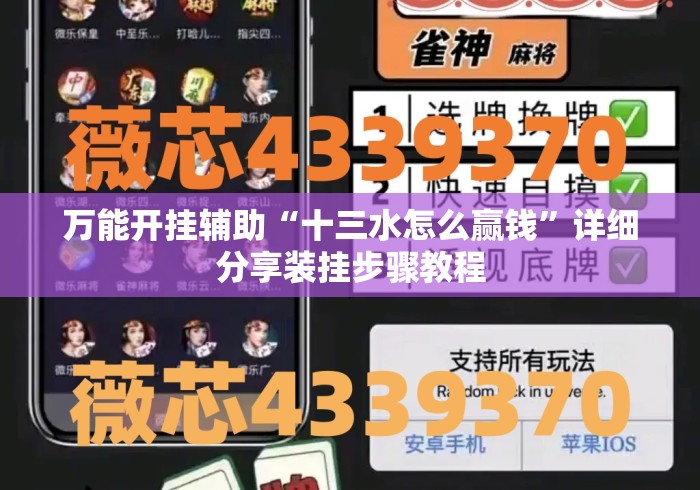 万能开挂辅助“十三水怎么赢钱	”详细分享装挂步骤教程