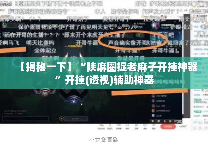 【揭秘一下】“陕麻圈捉老麻子开挂神器”开挂(透视)辅助神器