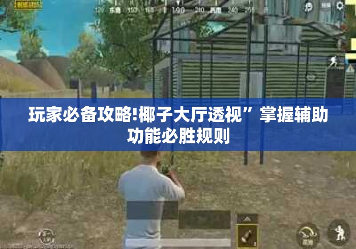 玩家必备攻略!椰子大厅透视”掌握辅助功能必胜规则