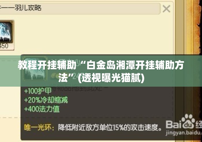 教程开挂辅助“白金岛湘潭开挂辅助方法	”(透视曝光猫腻)