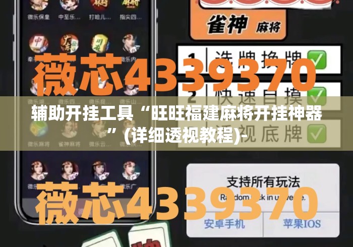 辅助开挂工具“旺旺福建麻将开挂神器	”(详细透视教程)-