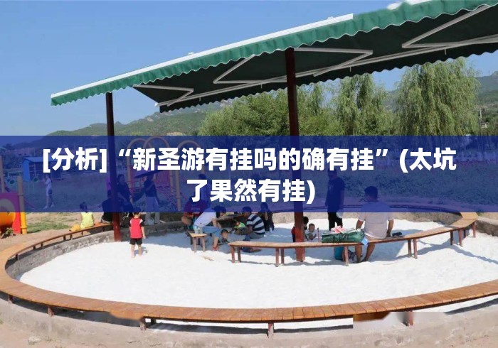 [分析]“新圣游有挂吗的确有挂”(太坑了果然有挂)