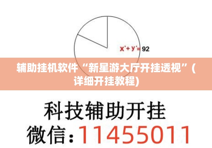 辅助挂机软件“新星游大厅开挂透视”(详细开挂教程)