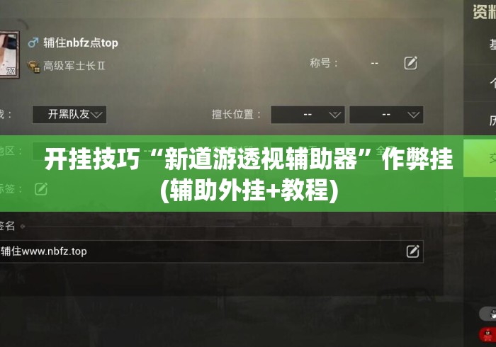 开挂技巧“新道游透视辅助器	”作弊挂(辅助外挂+教程)