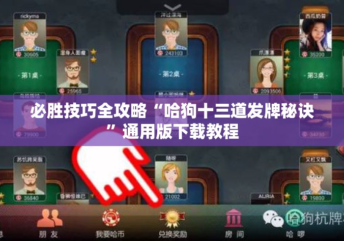 必胜技巧全攻略“哈狗十三道发牌秘诀”通用版下载教程