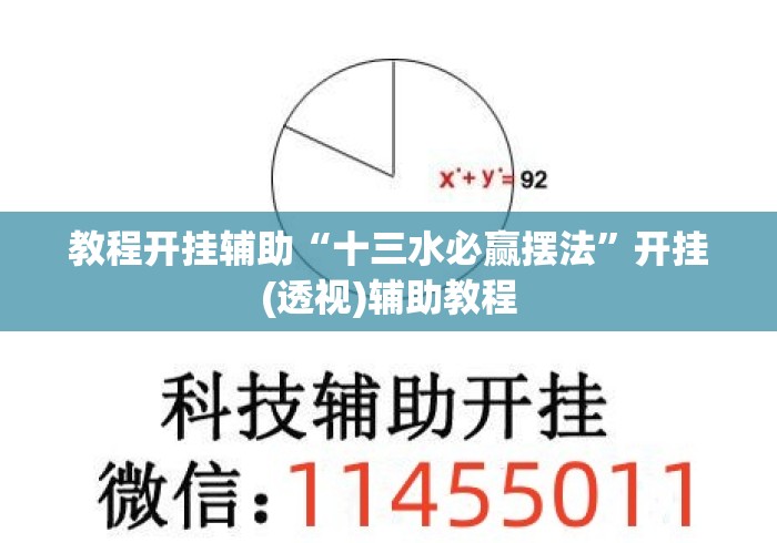 教程开挂辅助“十三水必赢摆法	”开挂(透视)辅助教程