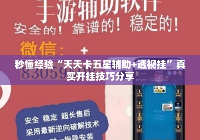 秒懂经验“天天卡五星辅助+透视挂	”真实开挂技巧分享
