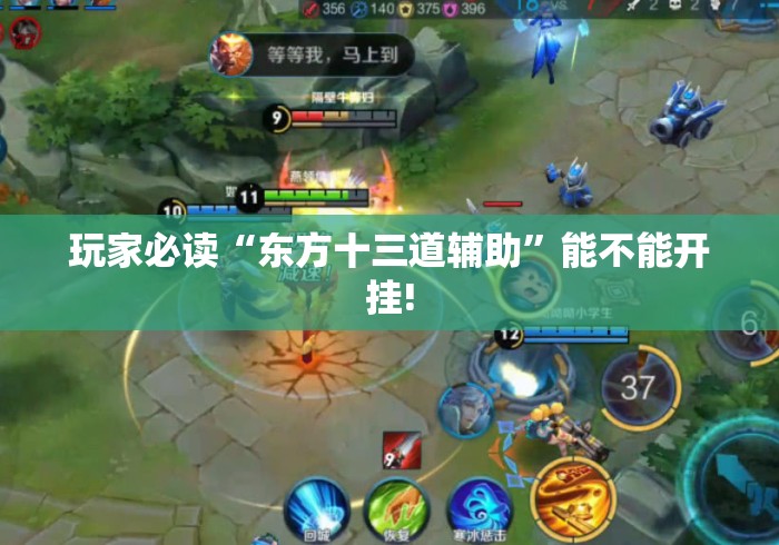 玩家必读“东方十三道辅助”能不能开挂!