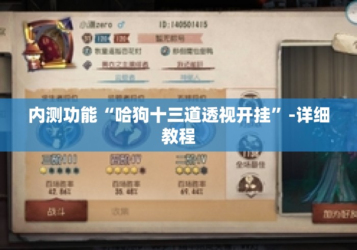 内测功能“哈狗十三道透视开挂	”-详细教程