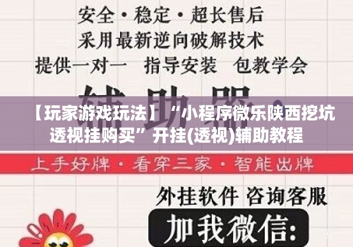 【玩家游戏玩法】“小程序微乐陕西挖坑透视挂购买	”开挂(透视)辅助教程