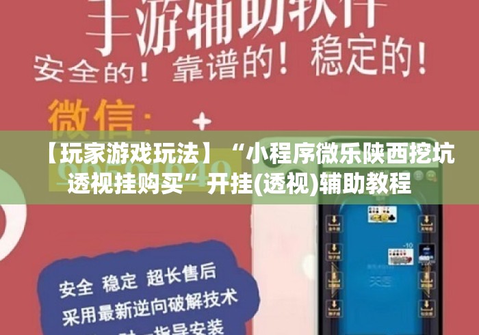 【玩家游戏玩法】“小程序微乐陕西挖坑透视挂购买	”开挂(透视)辅助教程