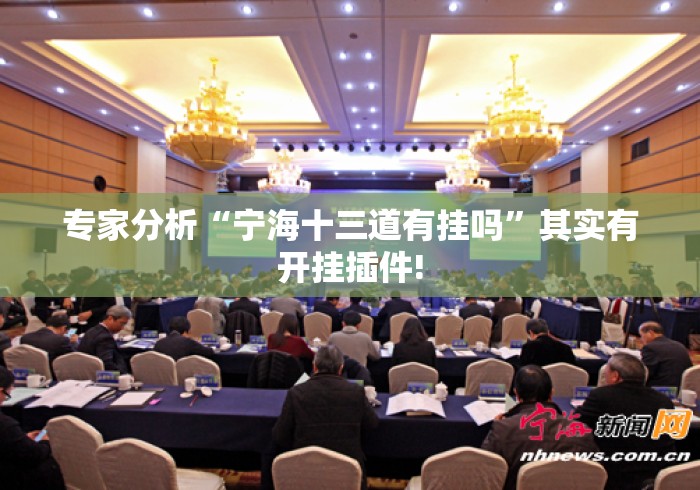 专家分析“宁海十三道有挂吗”其实有开挂插件!