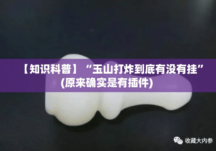 【知识科普】“玉山打炸到底有没有挂	”(原来确实是有插件) 