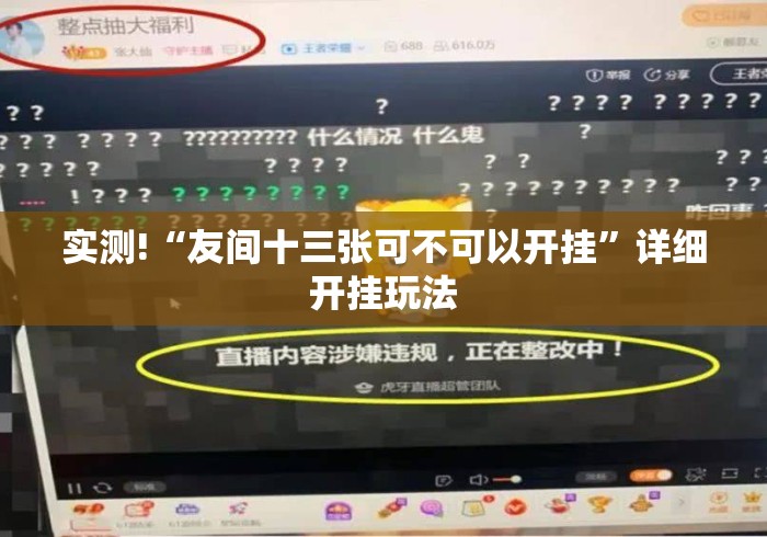 实测!“友间十三张可不可以开挂”详细开挂玩法