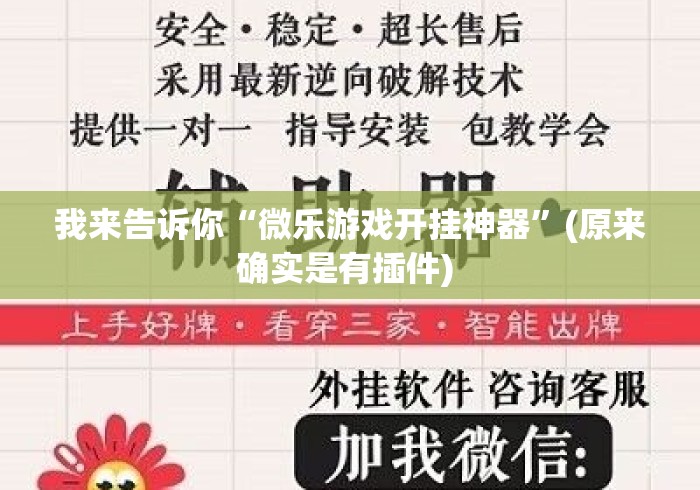 我来告诉你“微乐游戏开挂神器”(原来确实是有插件) 