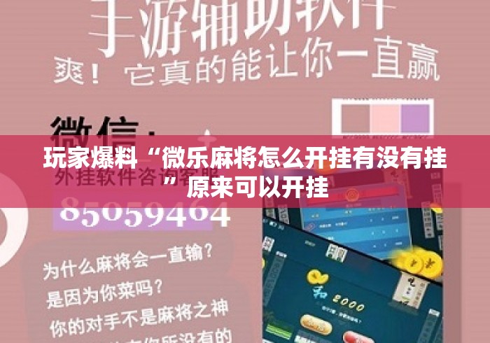 玩家爆料“微乐麻将怎么开挂有没有挂”原来可以开挂
