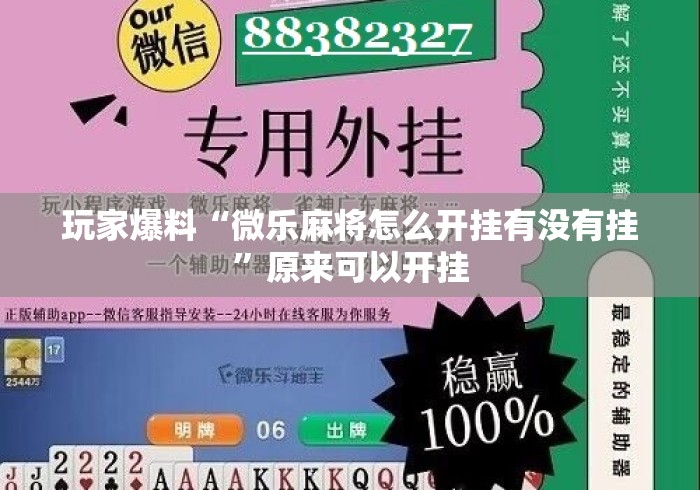 玩家爆料“微乐麻将怎么开挂有没有挂	”原来可以开挂
