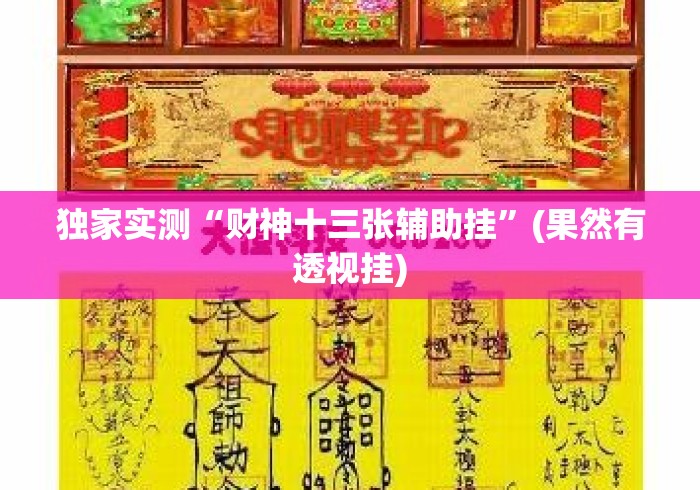 独家实测“财神十三张辅助挂”(果然有透视挂)