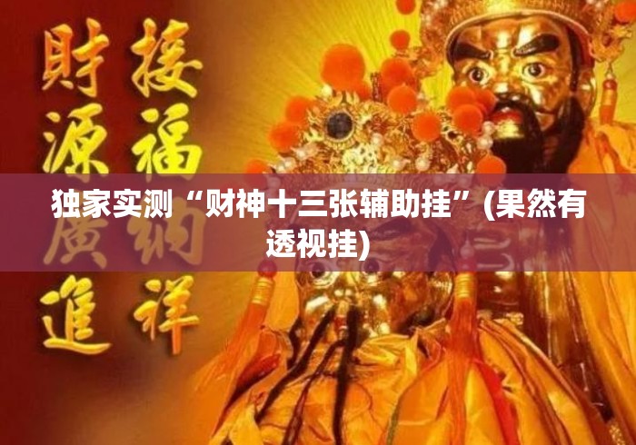 独家实测“财神十三张辅助挂”(果然有透视挂)