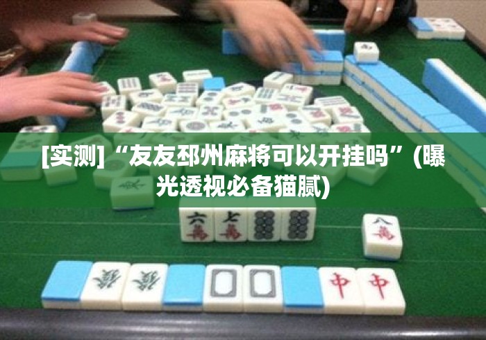 [实测]“友友邳州麻将可以开挂吗”(曝光透视必备猫腻)
