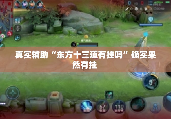 真实辅助“东方十三道有挂吗”确实果然有挂 