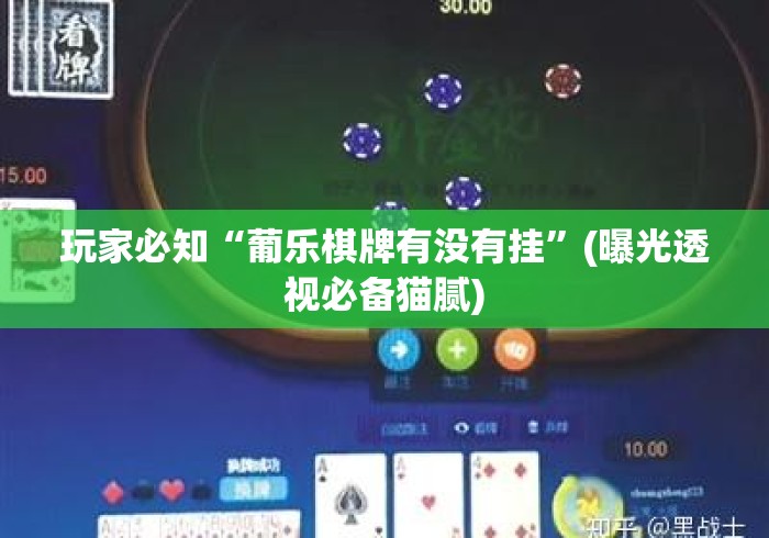 玩家必知“葡乐棋牌有没有挂	”(曝光透视必备猫腻)