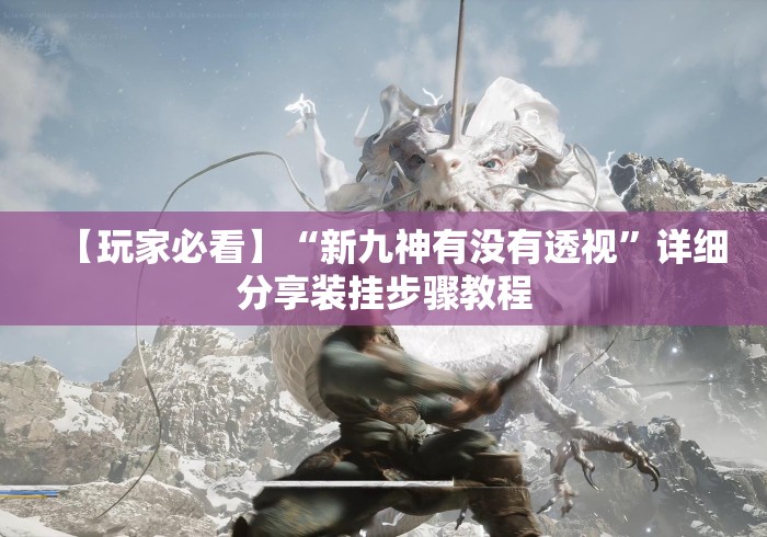 【玩家必看】“新九神有没有透视”详细分享装挂步骤教程