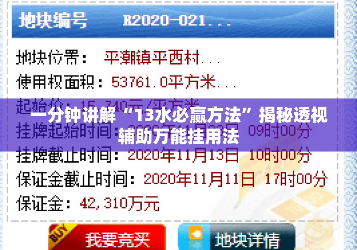 一分钟讲解“13水必赢方法”揭秘透视辅助万能挂用法