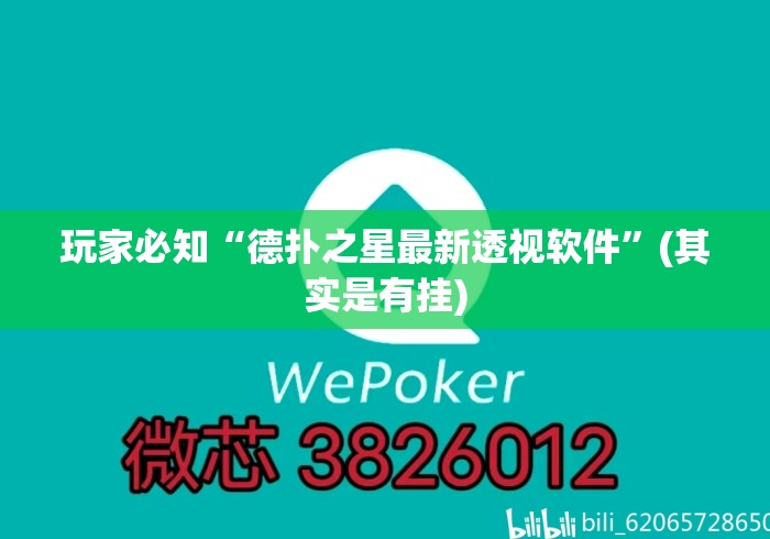 玩家必知“德扑之星最新透视软件”(其实是有挂)