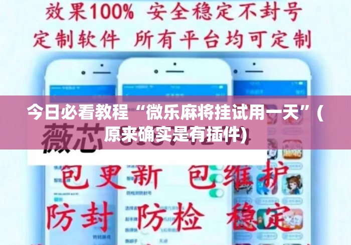 今日必看教程“微乐麻将挂试用一天”(原来确实是有插件)