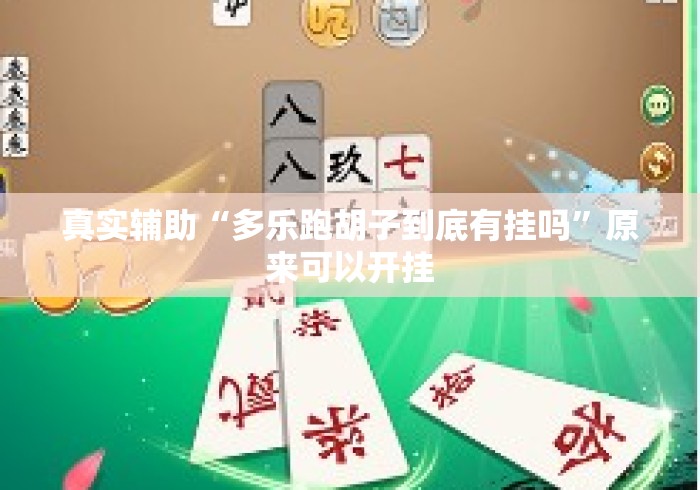 真实辅助“多乐跑胡子到底有挂吗”原来可以开挂