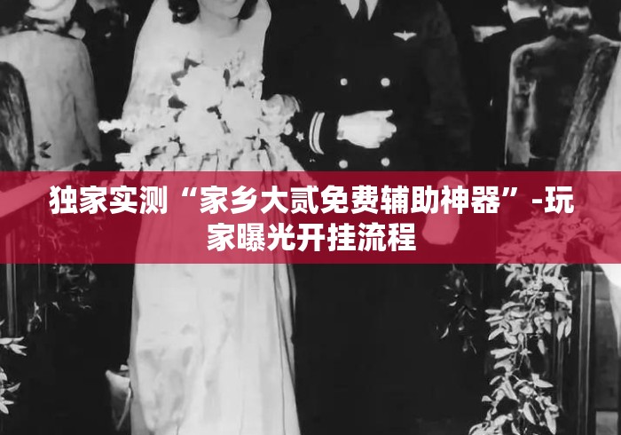 独家实测“家乡大贰免费辅助神器”-玩家曝光开挂流程