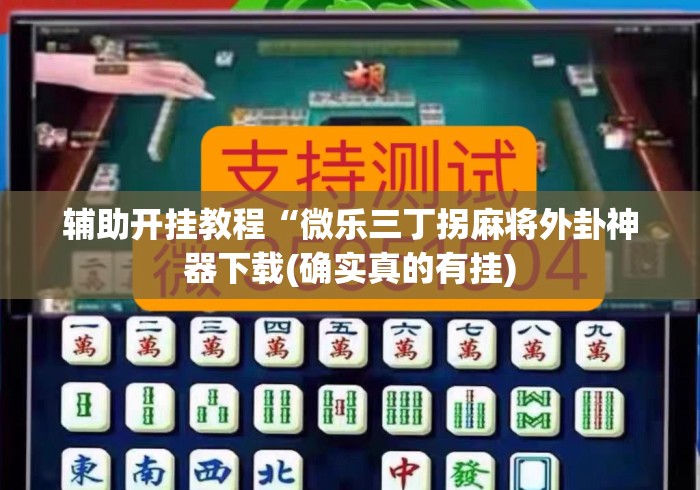 辅助开挂教程“微乐三丁拐麻将外卦神器下载(确实真的有挂) 辅助开挂教程“微乐三丁拐麻将外卦神器下载(确实真的有挂)