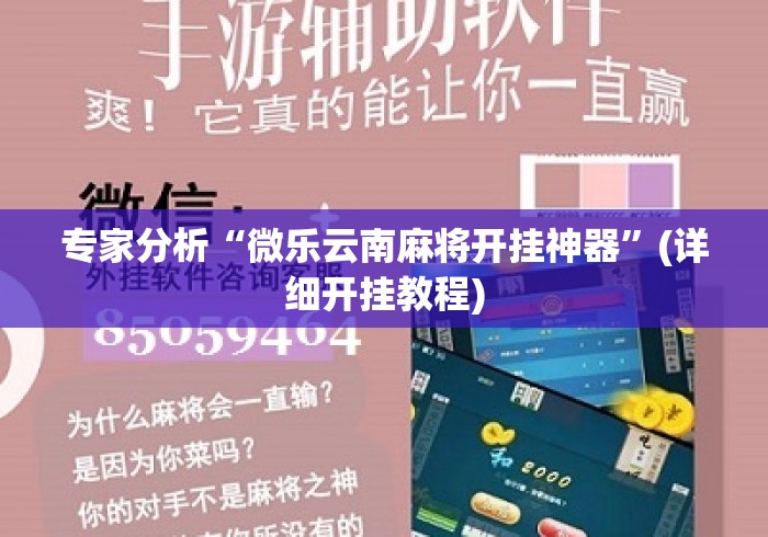专家分析“微乐云南麻将开挂神器	”(详细开挂教程)