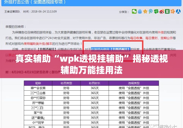 真实辅助“wpk透视挂辅助”揭秘透视辅助万能挂用法