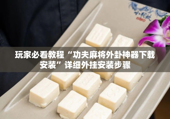 玩家必看教程“功夫麻将外卦神器下载安装”详细外挂安装步骤